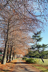 ����������. ������ ������. ������ �����, ������� ����, �������, 2015