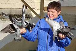 ��������� ������� �� ������������ ����� ���������-���������� ��������� ������. ������� ����, ������ �����, �������, 2015