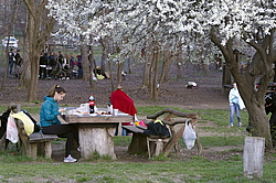 ����� �� ������. ������ ��� ����� ��������� ������.