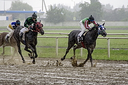 ������ �� ������������� ���������, 4-� �������� ����, 4 ���� 2016 ����. ������ �� ��������� ������.