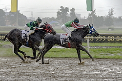 ������ �� ������������� ���������, 4-� �������� ����, 4 ���� 2016 ���. 