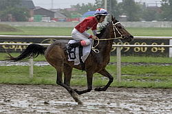 ������ �����. ������ �� ������������� ���������, 4-� �������� ����, 4 ���� 2016�.