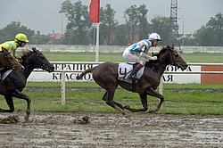 ������ �� ������������� ���������, 4-� �������� ����, 4 ���� 2016 ���. 