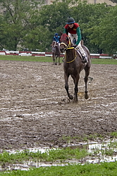 ������ �� ������������� ���������, 4-� �������� ����, 4 ���� 2016 ����. ����� � ���� �� �������� ����� �������  ���������� ������.