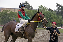 ������ �� ������������� ���������, 4-� �������� ����, 4 ���� 2016 ����. ����� � ������� ����� ������ ������.