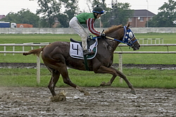 ������ �����. ������ �� ������������� ���������, 4-� �������� ����, 4 ���� 2016�.