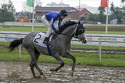 ������ �����. ������ �� ������������� ���������, 4-� �������� ����, 4 ���� 2016�.