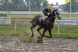 ������ �� ������������� ���������, 4-� �������� ����, 4 ���� 2016 ����. ������ �� ��������� ������.