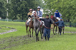 ������ �� ������������� ���������, 4-� �������� ����, 4 ���� 2016 ����. ����� �� ������������� ���������� ������.