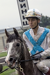 ������ �� ������������� ���������, 4-� �������� ����, 4 ���� 2016 ����. ����� � ������� ����� ������ ������.