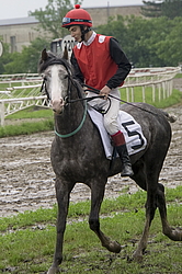 ������ �� ������������� ���������, 4-� �������� ����, 4 ���� 2016 ����. ����� � ���� �� �������� ����� �������  ���������� ������.