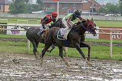 ������ �� ������������� ���������, 4-� �������� ����, 4 ���� 2016 ���. 