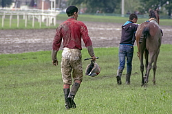 ������ �� ������������� ���������, 4-� �������� ����, 4 ���� 2016 ����. �����-��������� ����� ������� �� ��������� ������.