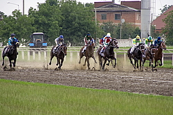 ������ �� ������������� ���������, 4-� �������� ����, 4 ���� 2016 ���. 