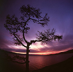 ���� ������� ������: ������