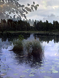 ���� ������� ������: ������, ������ ����