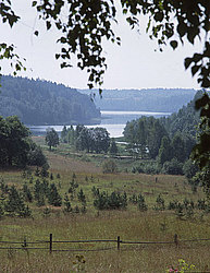 ���� ������� ������: ������, ����� �����