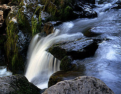 ���� ������� ������: ������� ����� �� �����