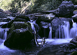 ���� ������� ������: ������� �� ������ �����