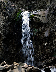 ���� ������� ������: ������� �� �������