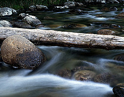 ���� ������� ������: ������ ���� �� �����