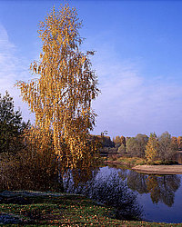 ���� ������� ������: ������� �����