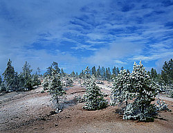 ���� ������� ������: ����, ������ ����