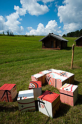 ������������� �������, ����������� �������, ����-��� � ���������