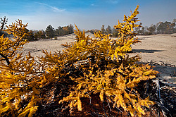 ������, ������� ����� ����� �������� �� ������� ������