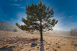 ������, ������� ����� ����� �������� �� ������� ������