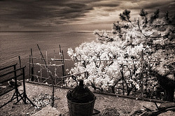 ������,  ������������ ���� ������ ����� � �������