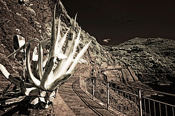 ������,  ������������ ���� ������ ����� � �������