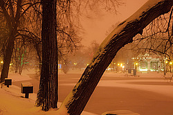 �������������� ���� �� �����  ��������� � ������