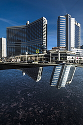  ������, ��������� �������, ����� Lotta