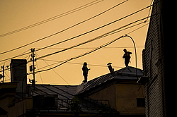  ���������� �����