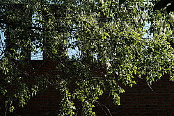 ��������, ���� ������