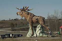 ������, ���� ����������� ����������� (����������� ���)