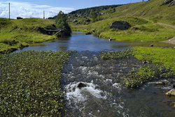 ���� ���-�����, ������� �������