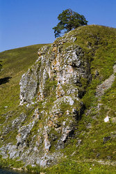 ���-�����, ����� ��� ������ ���