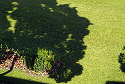 ������� ����, ��������� �����-���������� (����)