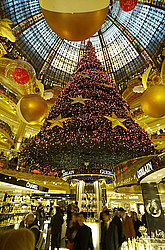 �����, ������ ������� � ���������