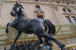 �����, ����� ������