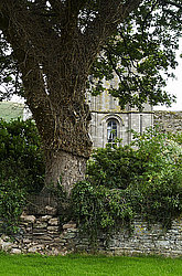 ��������������, ��������� ������� (Lanthony)