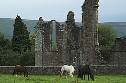 ��������������, ��������� ������� (Lanthony)