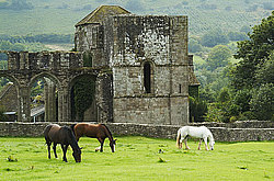 ��������������, ��������� ������� (Lanthony)