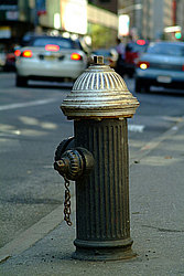 ��� ����, �������� �������� �� ������ ����������