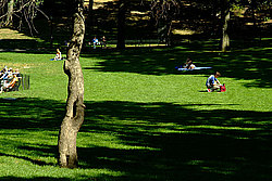 ���-����, ������� ���� (Central Park)