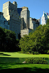 ���-����, ������� ���� (Central Park)