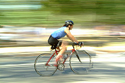 ���-����, ������� ���� (Central Park), ������������� � ��������