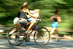 ���-����, ������� ���� (Central Park), ������������� � ��������